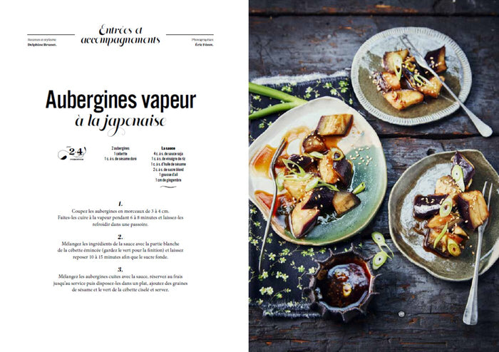 Les petits cahiers 180°C - Aubergine