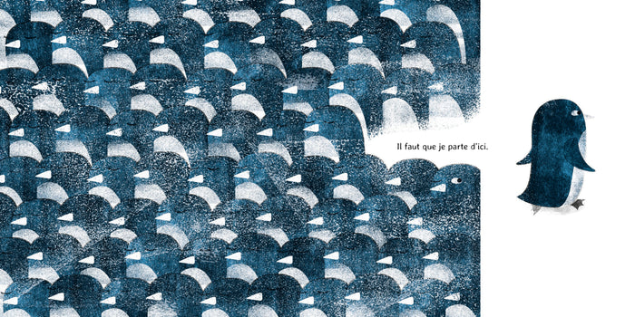 Un froid de manchot !