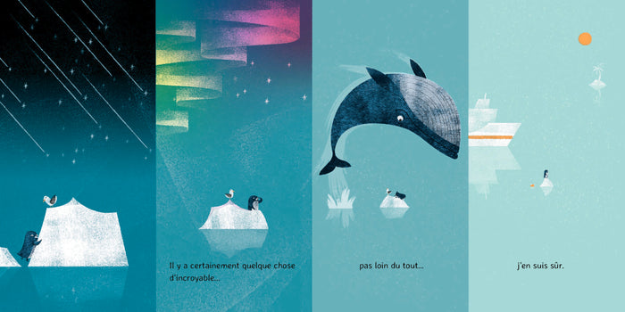 Un froid de manchot !