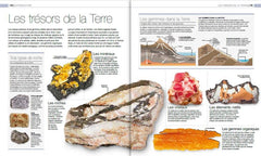 Joyaux et Pierres précieuses