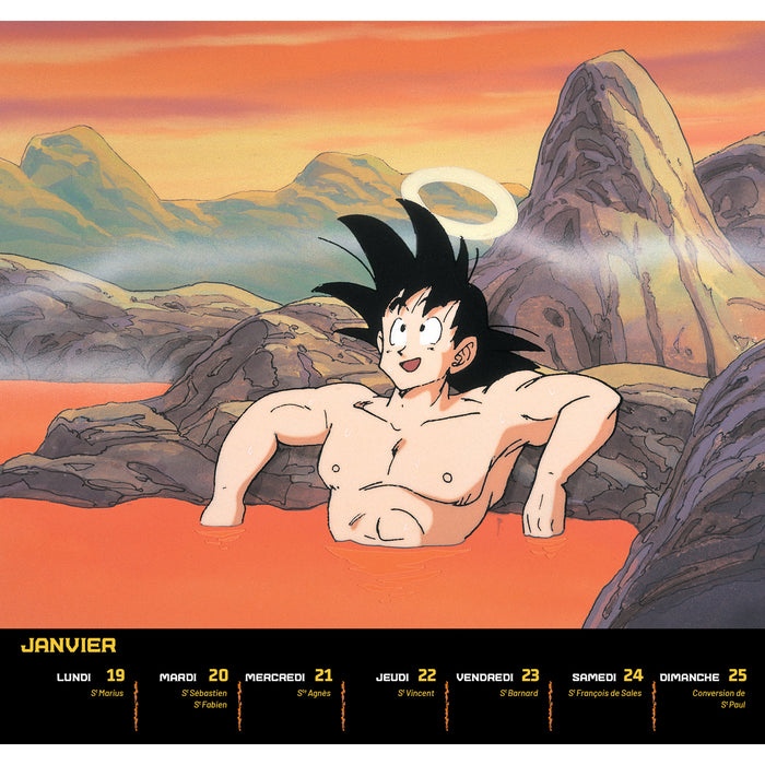 CALENDRIER OFFICIEL DRAGON BALL Z 2026