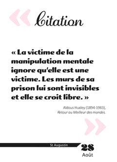 Calendrier Pouvoir et Manipulation en 365 jours - L'Année à Bloc