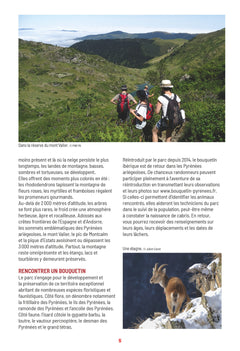 Sentiers d'Émilie Ariège vol.1