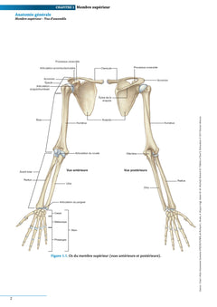 Atlas d'anatomie générale et radiologique