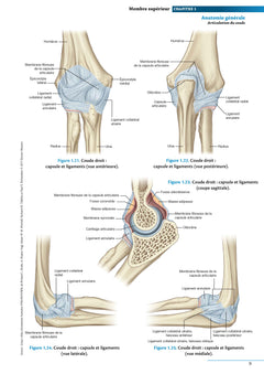 Atlas d'anatomie générale et radiologique