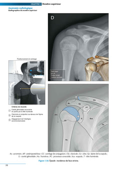 Atlas d'anatomie générale et radiologique