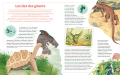 Le monde mystérieux des îles