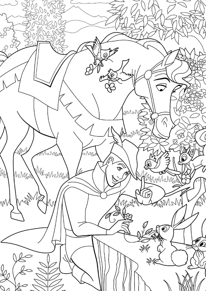 Grand bloc Disney - Princes et héros