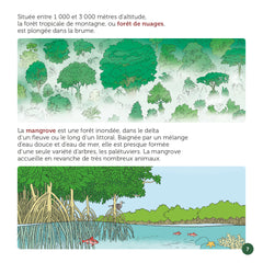 En haut des arbres