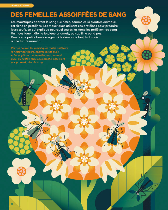 Ça va piquer ! Ces insectes qui dérangent