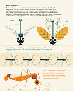 Ça va piquer ! Ces insectes qui dérangent