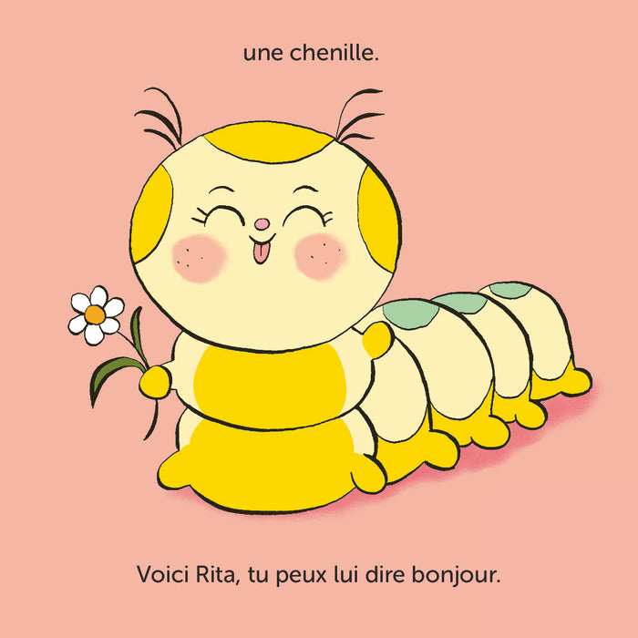 Comment habiller une chenille