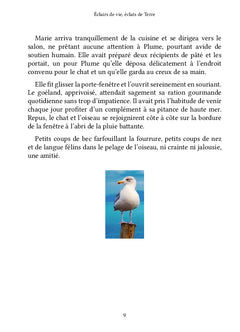 Éclairs de vie, éclats de Terre