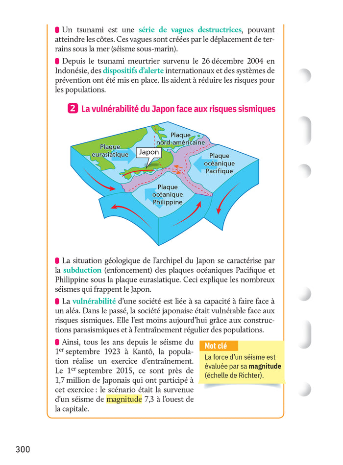 Fiches brevet - Le tout-en-un Brevet 2026