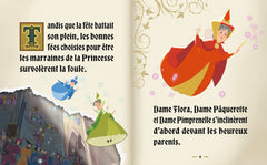 LA BELLE AU BOIS DORMANT - Le Grimoire - Disney Princesses