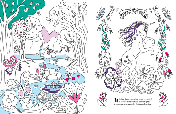 Le grimoire à colorier des licornes