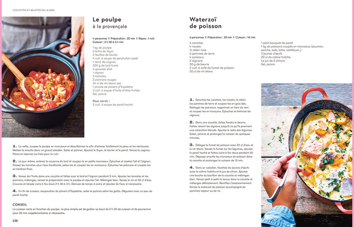 Cocottes et mijotés