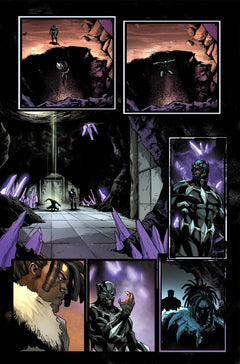 Ultimate Black Panther T01 : Guerre et paix