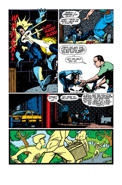 Punisher : Journal de guerre