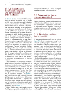 Le métabolisme humain et sa régulation