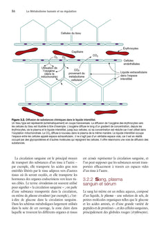 Le métabolisme humain et sa régulation