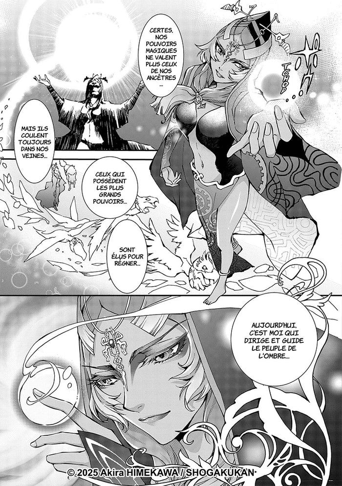 The Legend of Zelda Twilight Princess