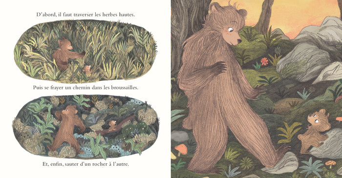 Mon tout petit ours (édition tout-carton)