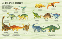 Mon grand livre des dinosaures