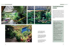 Créer un jardin jungle