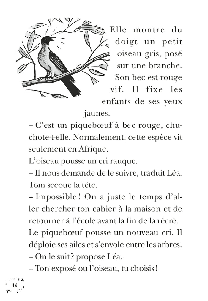 La cabane magique, Tome 58