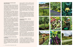 Le potager des chefs