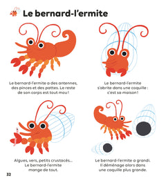 Les animaux de la mer