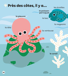 Les animaux de la mer