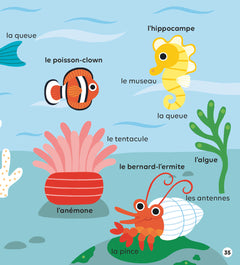 Les animaux de la mer