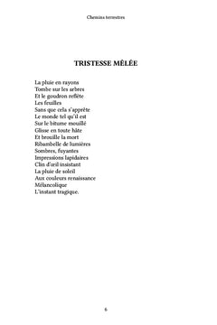 Chemins terrestres