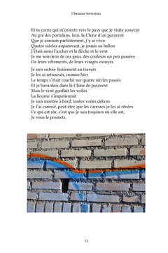 Chemins terrestres