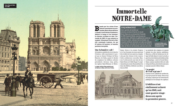 Stupéfiante histoire de Paris