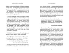 Le Feu secret de l'alchimie