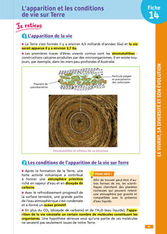 Objectif CRPE 2026 - Sciences et Technologie - 100 fiches pour bien réviser - épreuve écrite M2/L3