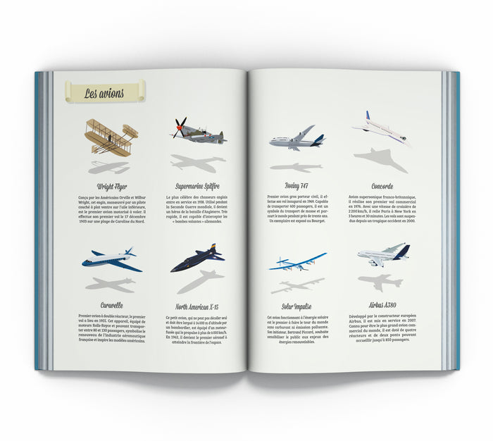 Les grands aviateurs