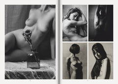 The Best of Model Society