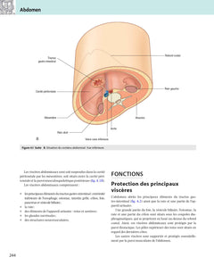 Gray's anatomie pour les étudiants