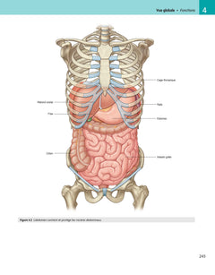 Gray's anatomie pour les étudiants