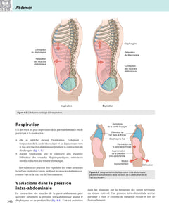 Gray's anatomie pour les étudiants