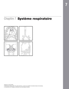 Anatomie à colorier Netter