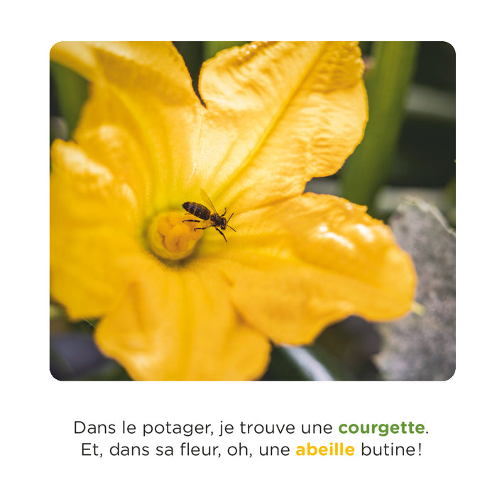 Cueillette à la ferme