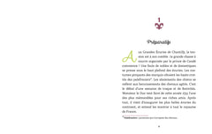 A cheval, Joséphine ! Tome 3 Une mystérieuse jument