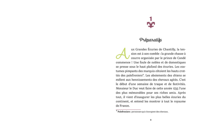 A cheval, Joséphine ! Tome 3 Une mystérieuse jument