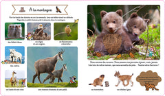 Le grand imagier des bébés animaux à toucher