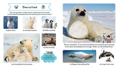 Le grand imagier des bébés animaux à toucher